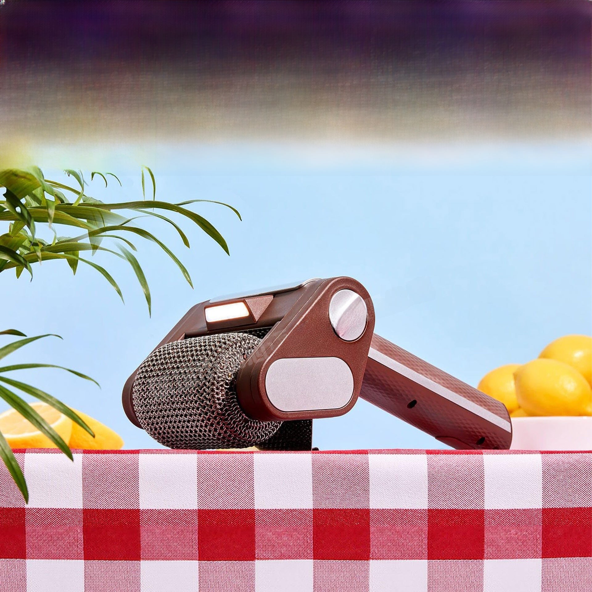 Barbecue Cleaning Brush