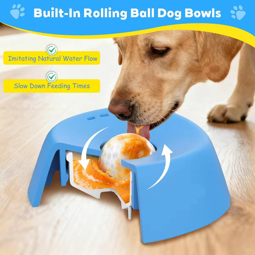Dog Licking Bowl